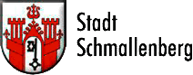 https://lehnenbau.de/_assets/img/logos/stastschmallenberg-logo.png